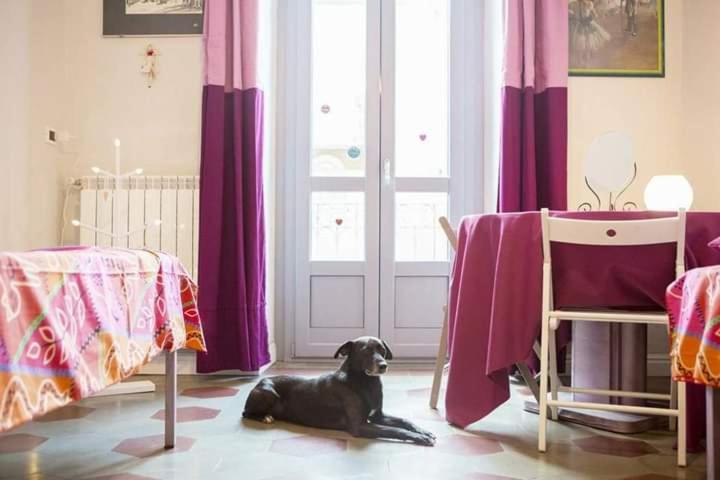 Casa Dani&Swing Bed&Books Bed & Breakfast Turin Exterior photo